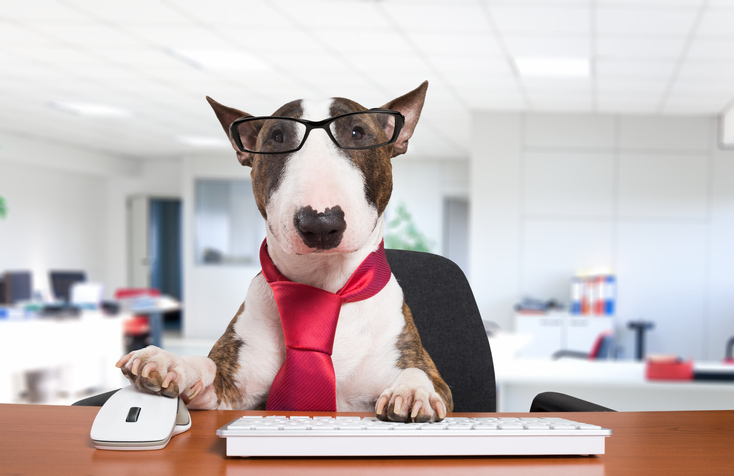 Cane in ufficio