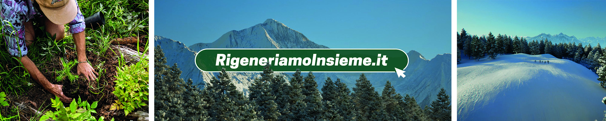 levissima levissima rigeneration